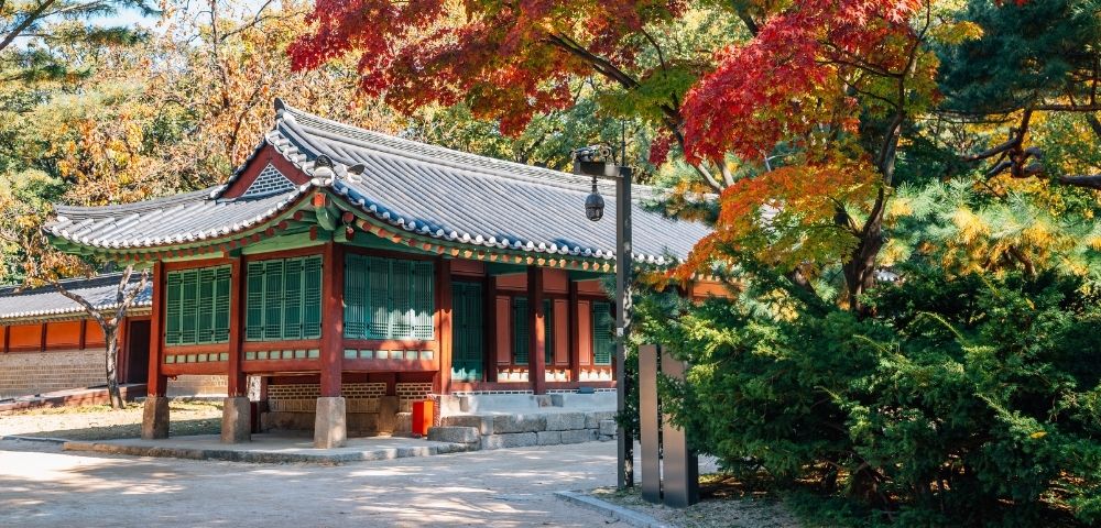 Traditional Korean palace building with ornate tiled roof, red-and-green wooden details, and autumn trees in a peaceful courtyard.