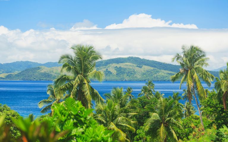 Lush tropical island coastline with swaying palm trees, bright blue sea, green mountains, and fluffy clouds under a sunny sky.