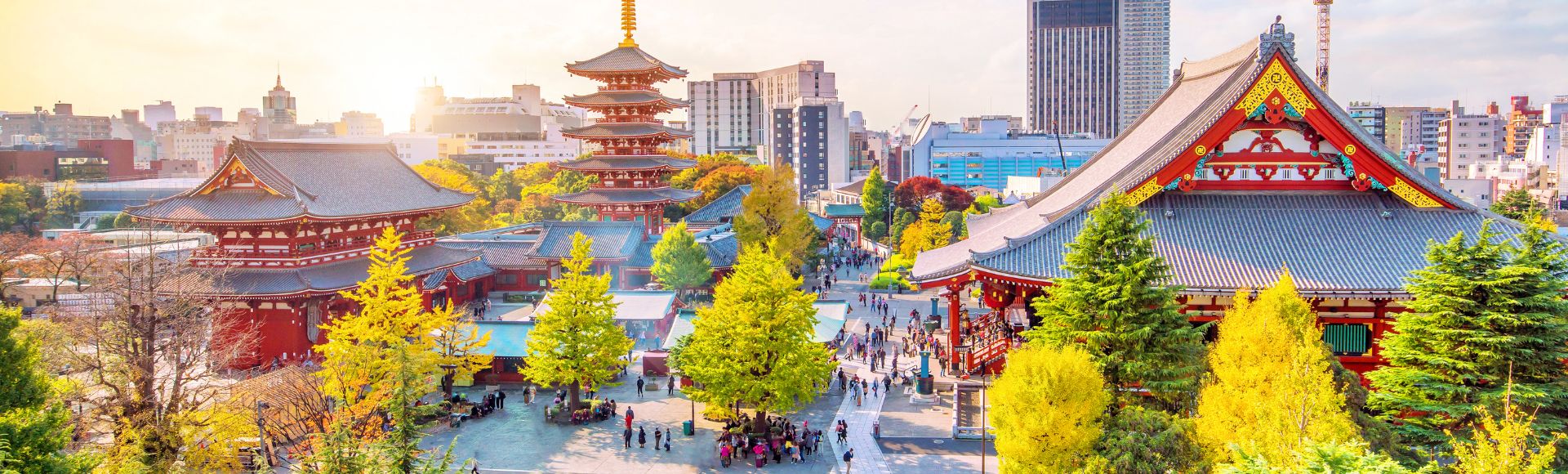 Panoramic view of Tokyo’s Asakusa district, with Senso-ji Temple, red pagoda, autumn trees, visitors, and modern skyline in warm sunlight.