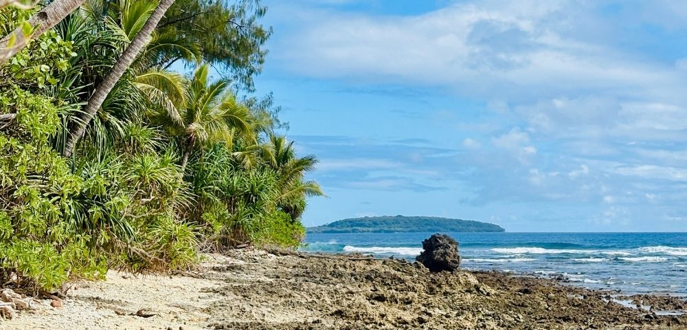 Tropical beach with lush palm trees on the left, a rocky shoreline in the foreground, and a distant island under a partly cloudy blue sky.