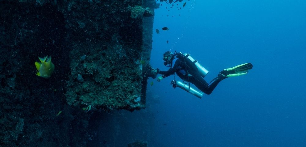 A diver in a black wetsuit with yellow fins and scuba gear swims alongside a large, dark, barnacle-encrusted structure underwater, with a bright yellow fish swimming nearby in the blue water.
