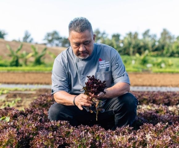 A chef in a gray chef's coat kneels in a field of red lettuce, holding a bunch of lettuce.