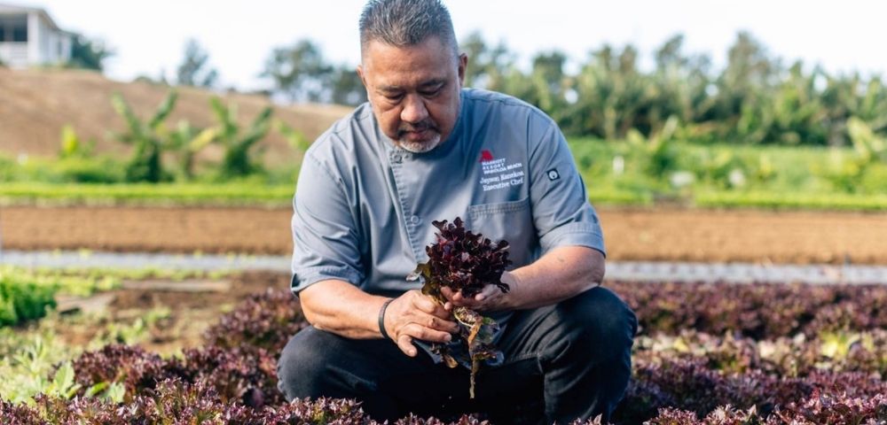 A chef in a gray chef's coat kneels in a field of red lettuce, holding a bunch of lettuce.