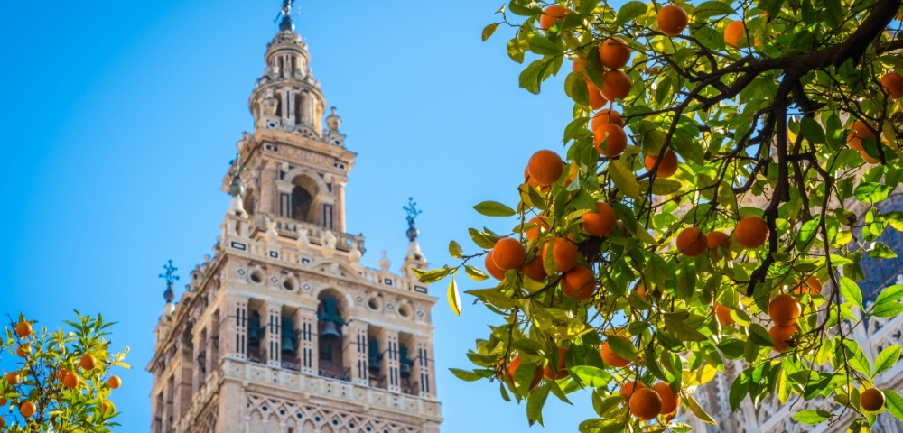 Ornate historic bell tower rises against a vivid blue sky, framed by leafy orange branches, creating a bright, serene scene.