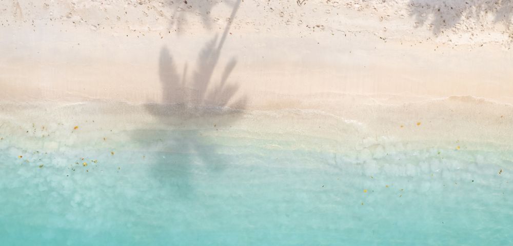 Aerial view of a tranquil, sandy beach where the clear turquoise ocean gently laps at the shore. The shadow of a palm tree stretches across the white sand and into the shallow water, creating a serene, tropical scene.