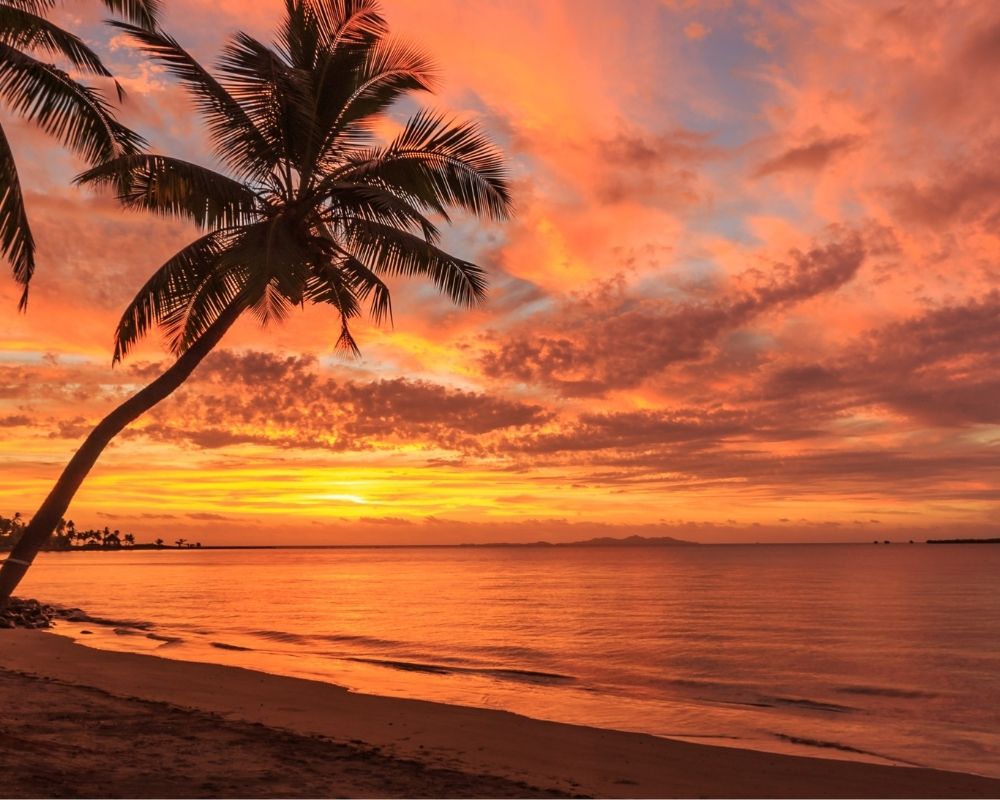 Panoramic view of a tropical beach at sunset with silhouettes of palm trees lining the shore and a vibrant orange and pink sky reflected on the calm ocean water.