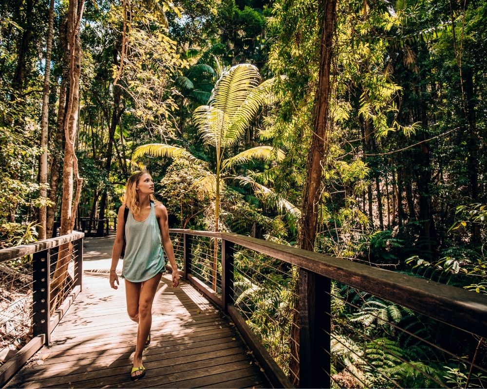 A blonde woman walks along a wooden boardwalk through a lush, sun-dappled rainforest.