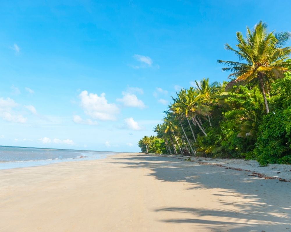 A wide, sandy beach with a line of palm trees and lush green foliage curving along the right side under a bright blue sky with scattered white clouds. The ocean is calm and visible on the left.