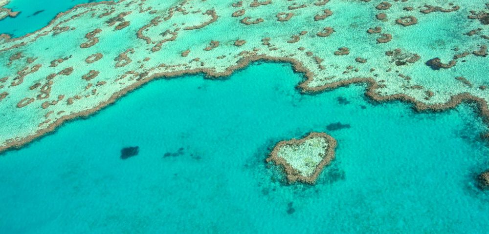 Aerial view of a heart-shaped coral reef formation surrounded by clear turquoise water.
