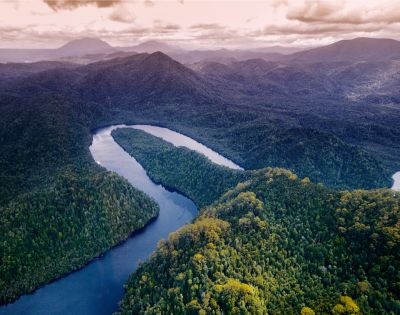 Aerial view of a dark blue winding river flowing through a dense, lush green forest with rolling hills and mountains in the distance under a hazy, purple-toned sky.