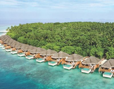 Aerial view of a row of thatched-roof overwater bungalows with private plunge pools on turquoise water, backed by a dense, lush green tropical island with palm trees.