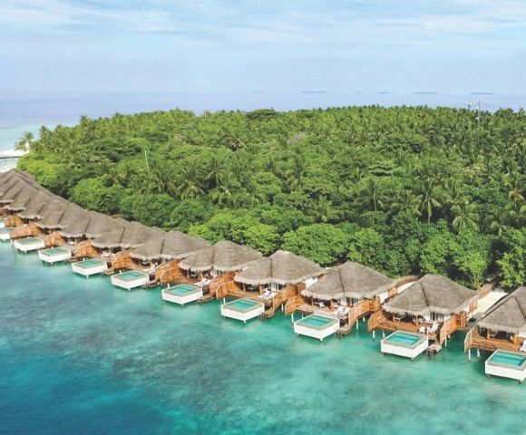 Aerial view of a row of thatched-roof overwater bungalows with private plunge pools on turquoise water, backed by a dense, lush green tropical island with palm trees.