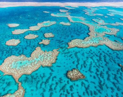 Aerial view of a vibrant coral reef system with clear turquoise water and scattered coral formations.
