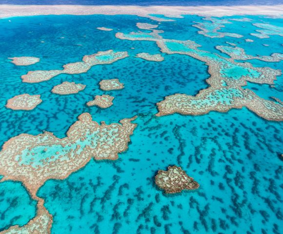 Aerial view of a vibrant coral reef system with clear turquoise water and scattered coral formations.