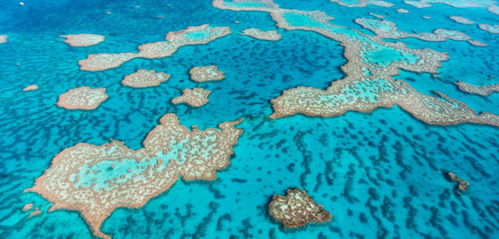 Aerial view of a vibrant coral reef system with clear turquoise water and scattered coral formations.