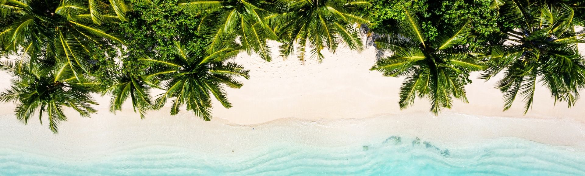 Aerial view of a tropical beach with lush green palm trees overhanging a pristine white sand beach and clear turquoise water with gentle ripples.