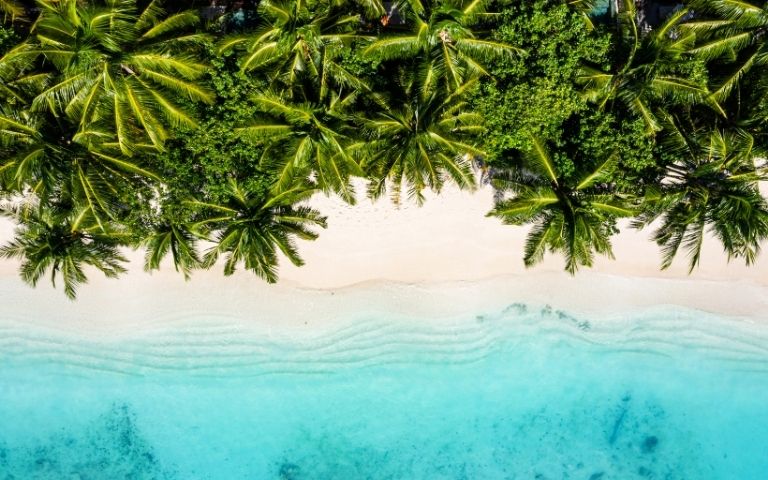 Aerial view of a tropical beach with lush green palm trees overhanging a pristine white sand beach and clear turquoise water with gentle ripples.