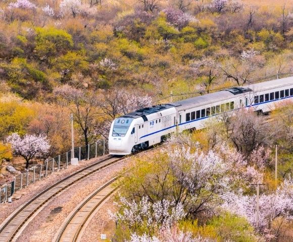 10 Day 5 Star China Rail Tour Image 4