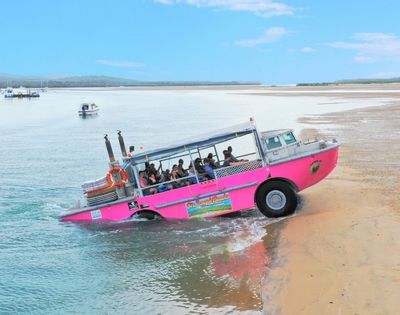 A bright pink amphibious bus filled with passengers is partially submerged in the water and partially on a sandy beach, with calm water and a distant shoreline under a bright blue sky.