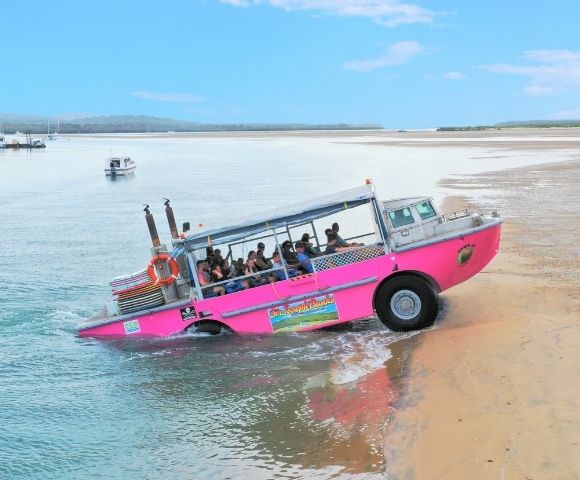 A bright pink amphibious bus filled with passengers is partially submerged in the water and partially on a sandy beach, with calm water and a distant shoreline under a bright blue sky.