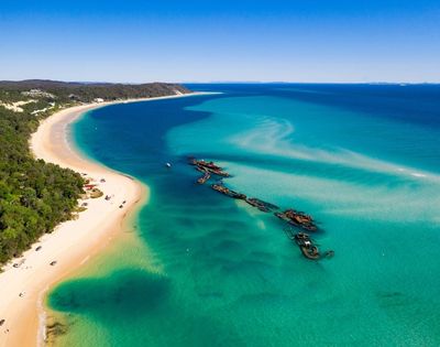 Aerial view of a curving sandy beach lined with lush green trees meeting crystal clear turquoise water, where numerous rusty shipwrecks lie submerged just offshore.
