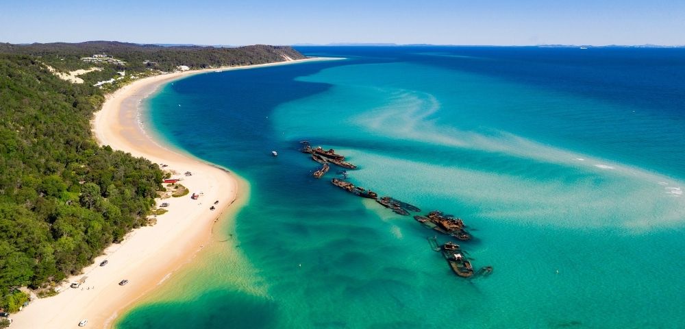 Aerial view of a curving sandy beach lined with lush green trees meeting crystal clear turquoise water, where numerous rusty shipwrecks lie submerged just offshore.