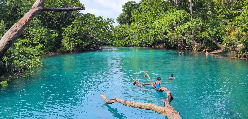 Clear turquoise river surrounded by dense green trees with several people swimming and sitting on a fallen tree branch in the water.