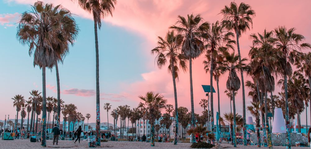 A group of palm trees on a sandy beach with a pink and blue sky at sunset.