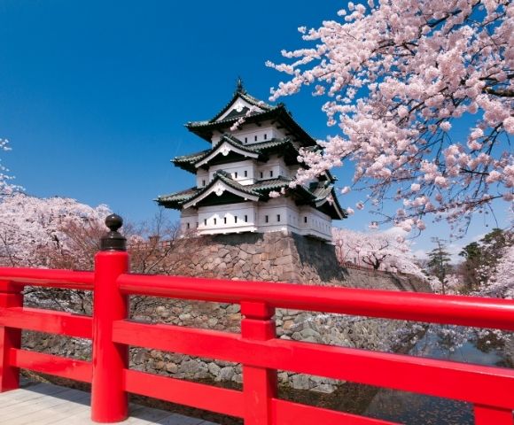 Fly Free^ Springtime in Japan & South Korea Exploration - Gallery Image