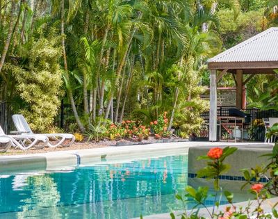 Turquoise resort pool reflects lush tropical palms, white lounge chairs, and a shaded pavilion, with bright red flowers adding a serene, inviting feel.