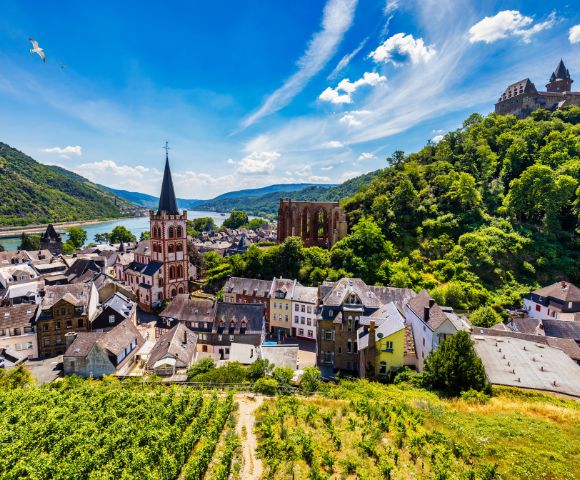 Scenic view of a historic European town nestled beside a river, featuring a prominent church spire, ancient ruins, a castle on a hill, and lush green vineyards in the foreground.