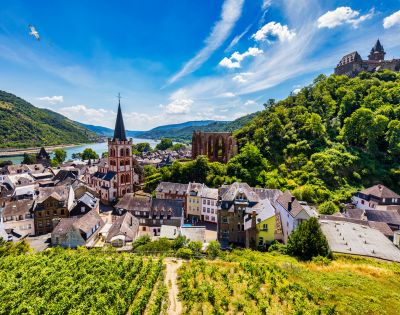 Scenic view of a historic European town nestled beside a river, featuring a prominent church spire, ancient ruins, a castle on a hill, and lush green vineyards in the foreground.