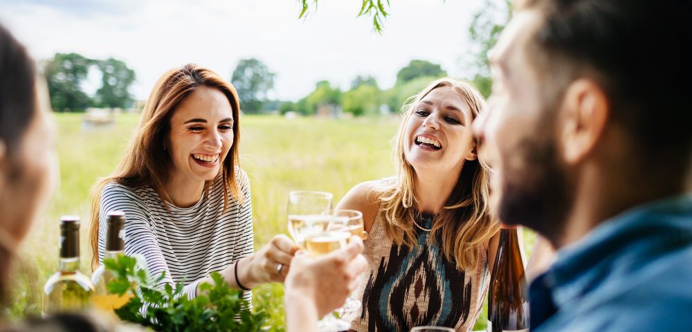 A diverse group of friends laugh and toast with wine glasses during an outdoor picnic in a sunny, grassy field with trees in the background.