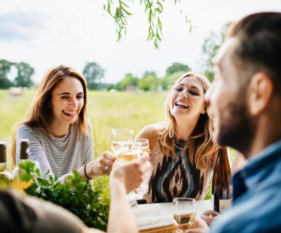 A diverse group of friends laugh and toast with wine glasses during an outdoor picnic in a sunny, grassy field with trees in the background.