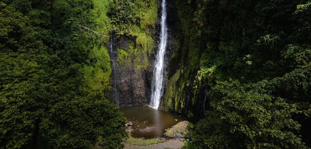 A tall, narrow waterfall cascades down a dark, rocky cliff face covered in lush green moss and foliage into a dark pool below.