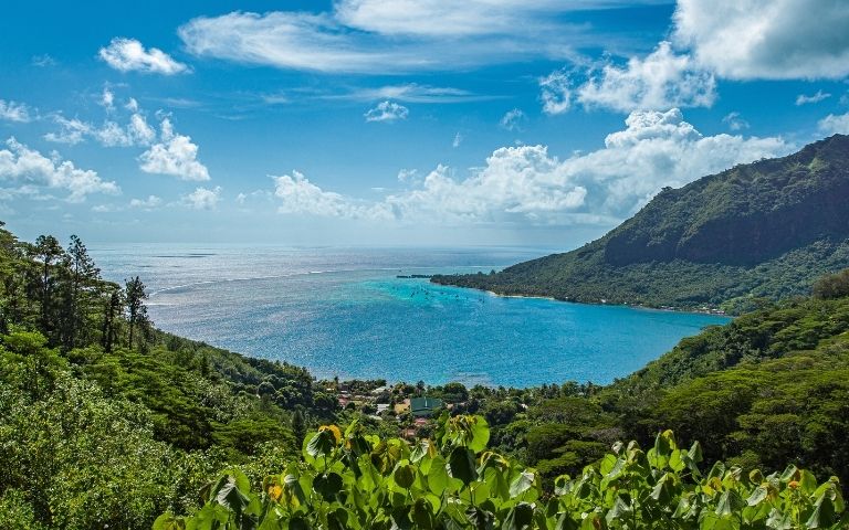Panoramic view of a lush green bay with turquoise water, framed by dense foliage and a steep, tree-covered mountainside under a bright blue sky with scattered white clouds.