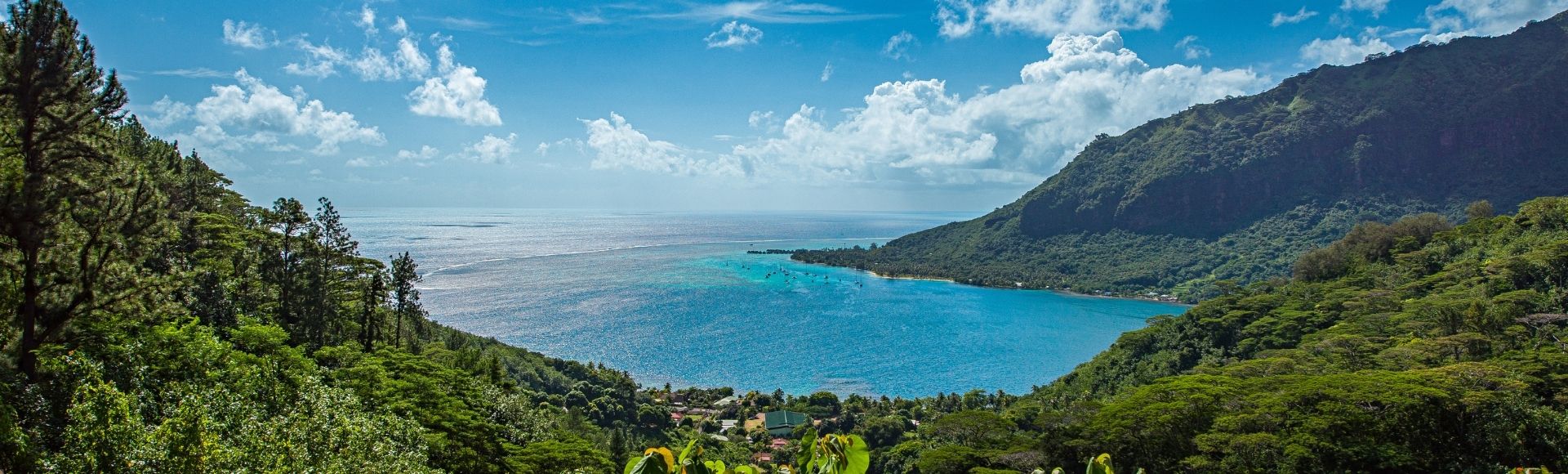 Panoramic view of a lush green bay with turquoise water, framed by dense foliage and a steep, tree-covered mountainside under a bright blue sky with scattered white clouds.