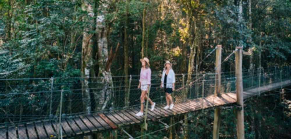 Two people walk on a wooden suspension bridge through a dense, green forest canopy.