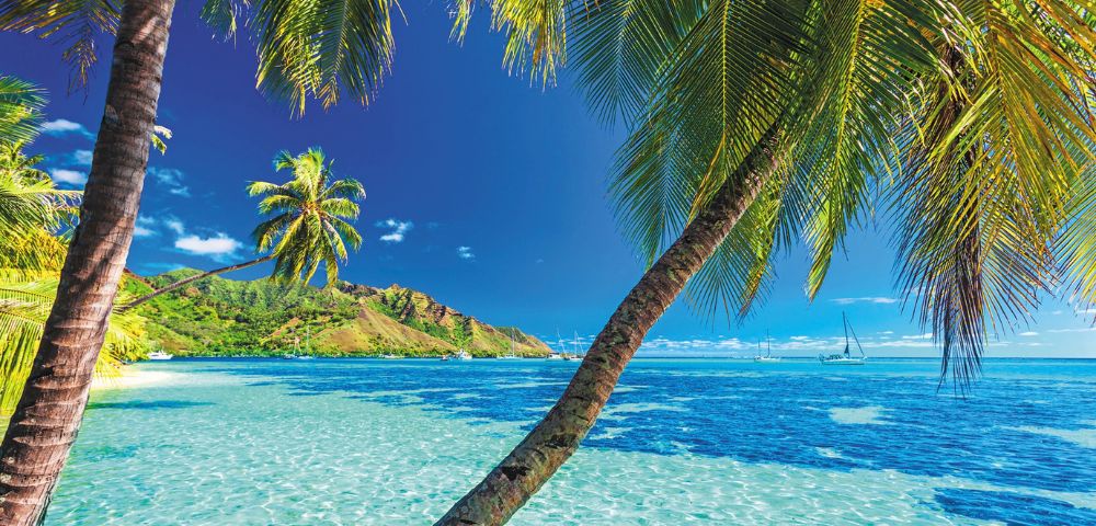 A tropical beach scene with clear turquoise water, lush green mountains in the background, and palm trees leaning over the sand. Sailboats are visible on the calm ocean under a bright blue sky.