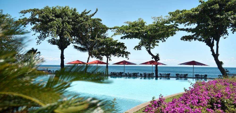 An empty infinity pool reflects the clear blue sky, with tables and red umbrellas set up on the deck overlooking the ocean. Lush green trees line the edge of the pool, and vibrant purple flowers bloom in the foreground.