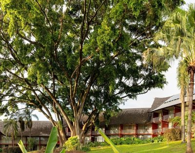 Lush tropical resort with red-roofed buildings, tall palms, flowering gardens, and a broad shade tree creating a peaceful, inviting atmosphere.