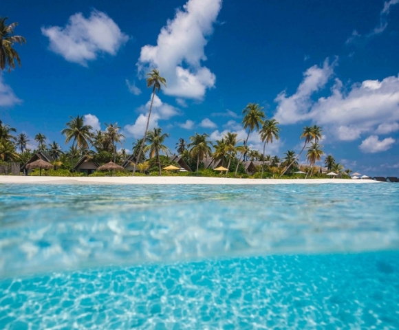 A tropical island featuring lush palm trees and vibrant blue water under a clear sky.