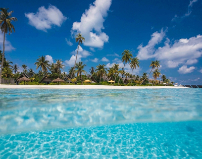 A tropical island featuring lush palm trees and vibrant blue water under a clear sky.