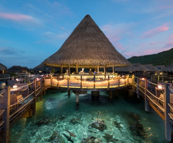A thatched-roof overwater bar and restaurant at twilight, with illuminated walkways and tables, set in clear turquoise water where fish swim.