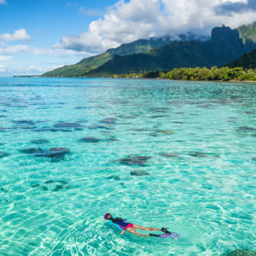 A person snorkeling in crystal-clear turquoise water with visible coral reefs below, set against a backdrop of lush green mountains under a blue sky.