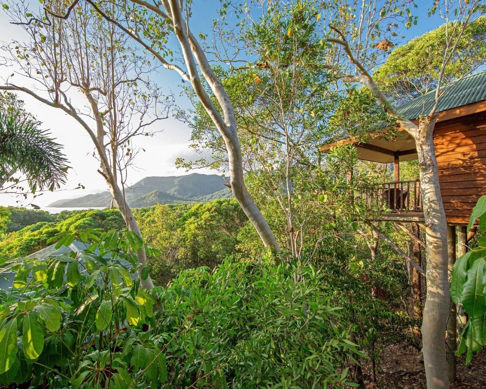 A wooden treehouse nestled amongst lush green foliage overlooks a bay with distant mountains under a clear blue sky.