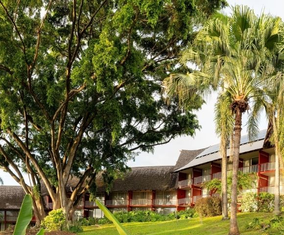 A large tree with lush green foliage dominates the left side of the frame, with a red building with balconies visible behind it, framed by palm trees and a manicured lawn.