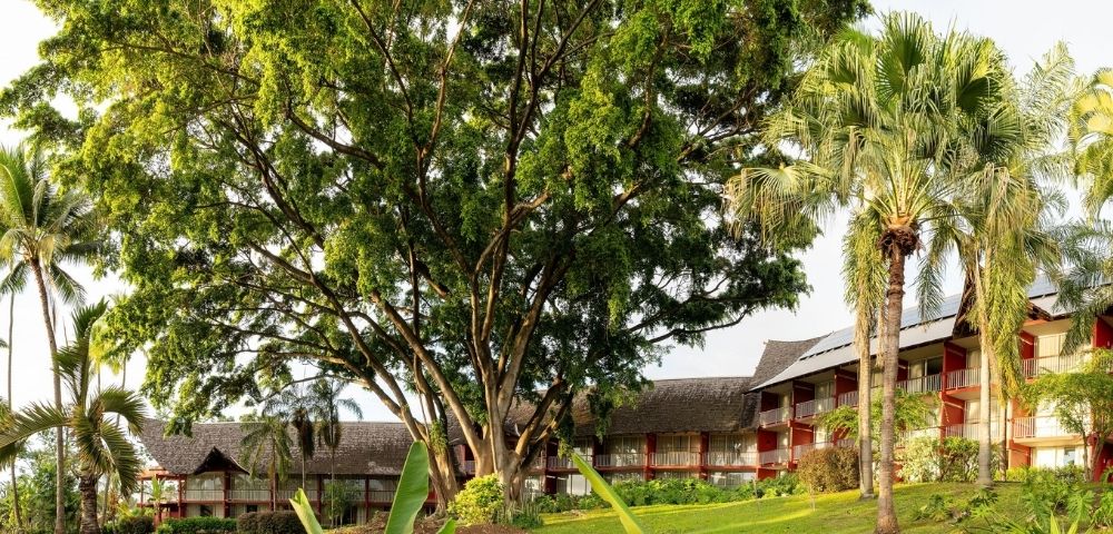 A large tree with lush green foliage dominates the left side of the frame, with a red building with balconies visible behind it, framed by palm trees and a manicured lawn.
