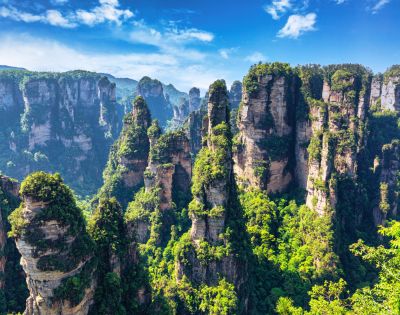 Panoramic view of a dense forest covering numerous tall, narrow sandstone pillars, under a bright blue sky with scattered white clouds.