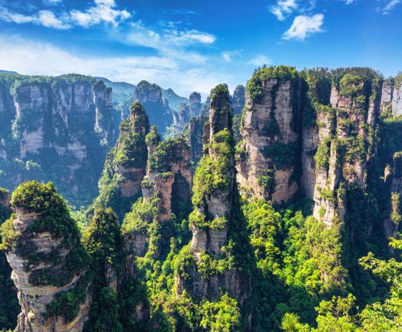 Panoramic view of a dense forest covering numerous tall, narrow sandstone pillars, under a bright blue sky with scattered white clouds.